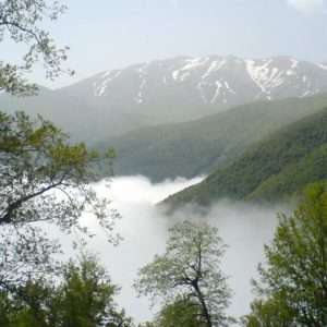 تور جنگل ابر و شناخت جاذبه های گردشگری منطقه 